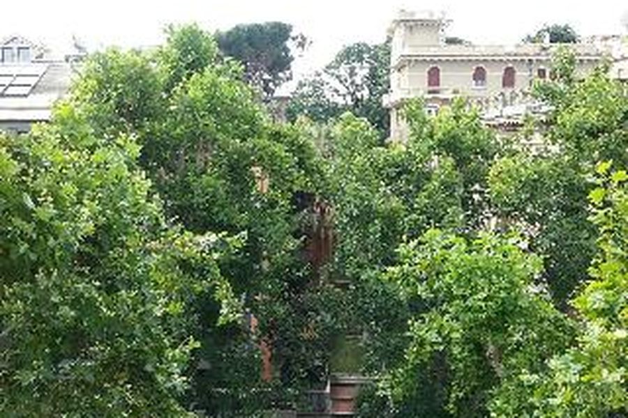 foto-2