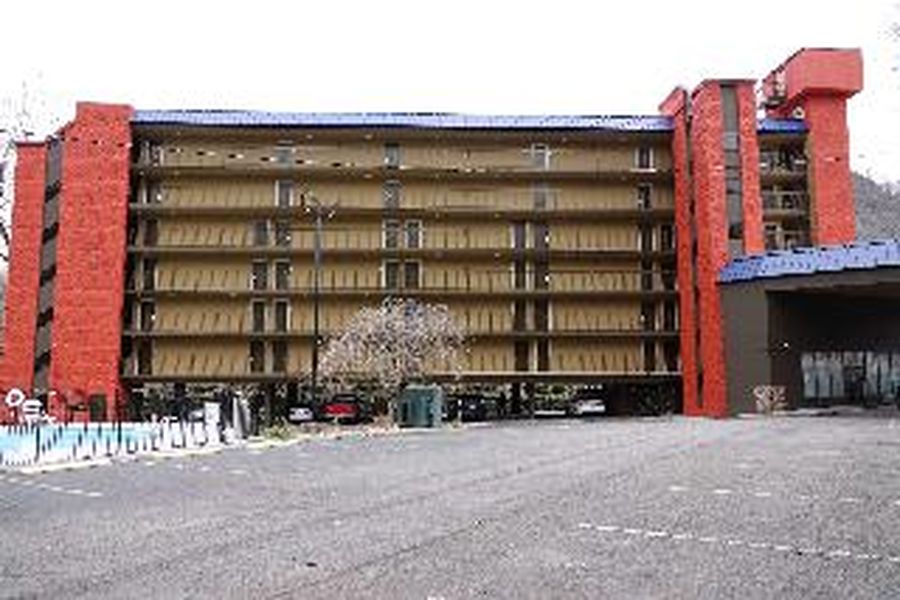 photo-3