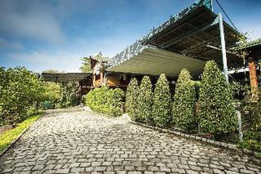 photo-1
