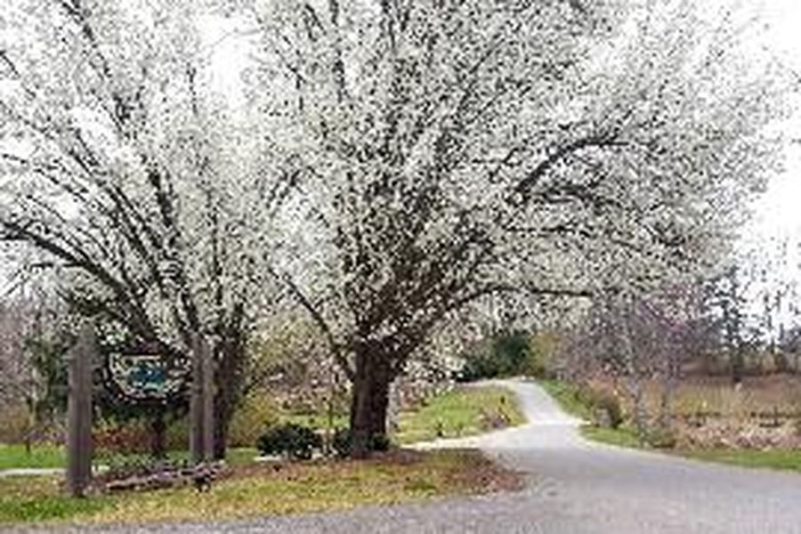 photo-2