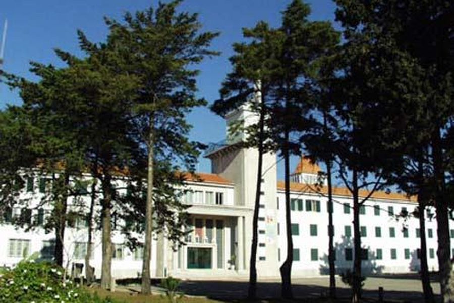 foto-1