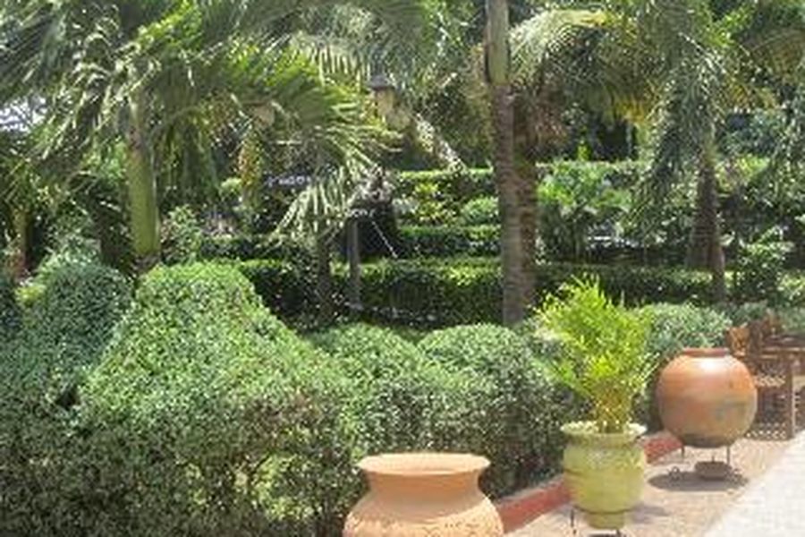 photo-1