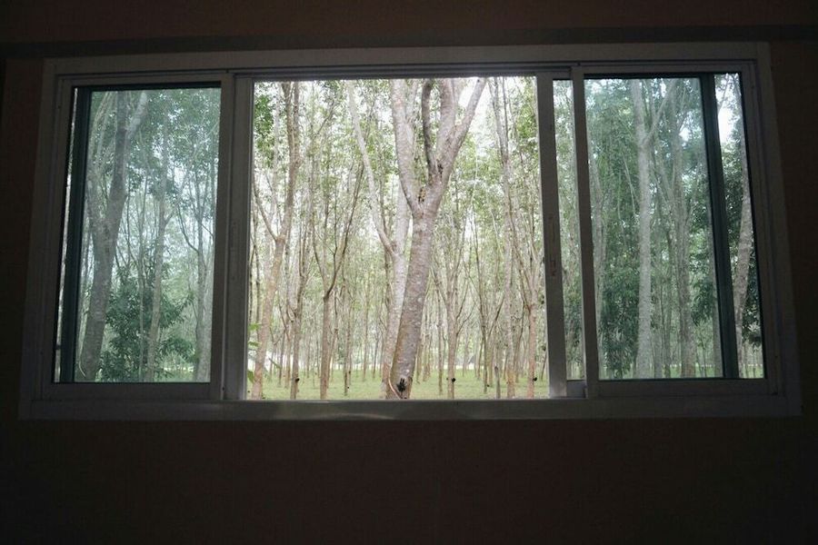 foto-1