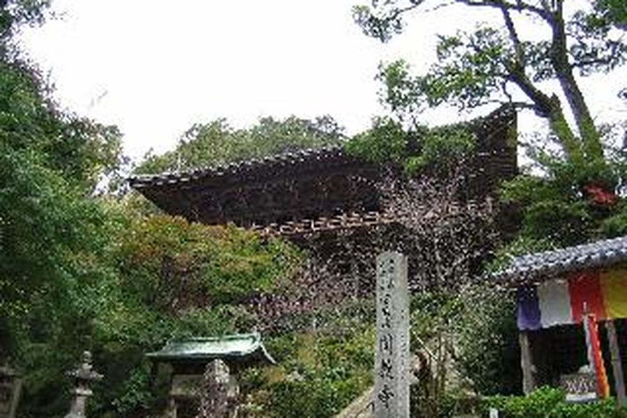 photo-3