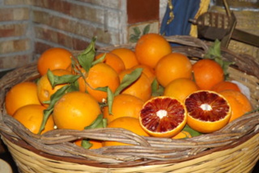 foto-1