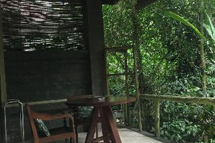 foto-2