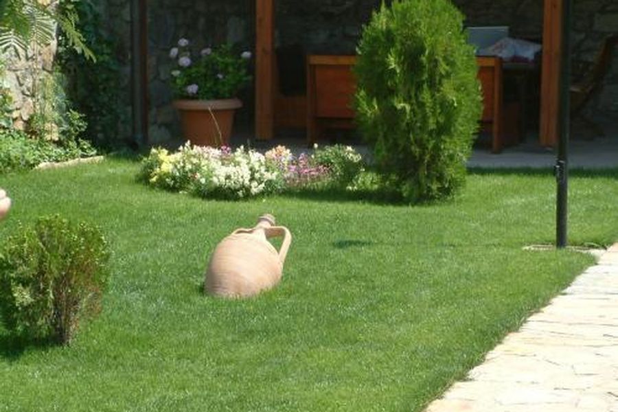 photo-2
