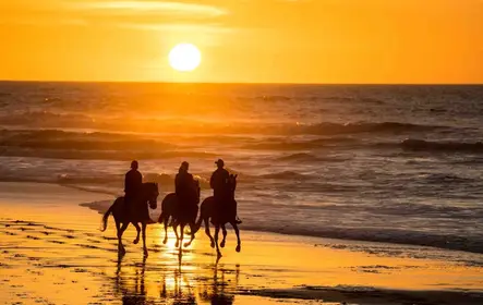 Horseback Riding Adventure to Discover Dakhla's Nature