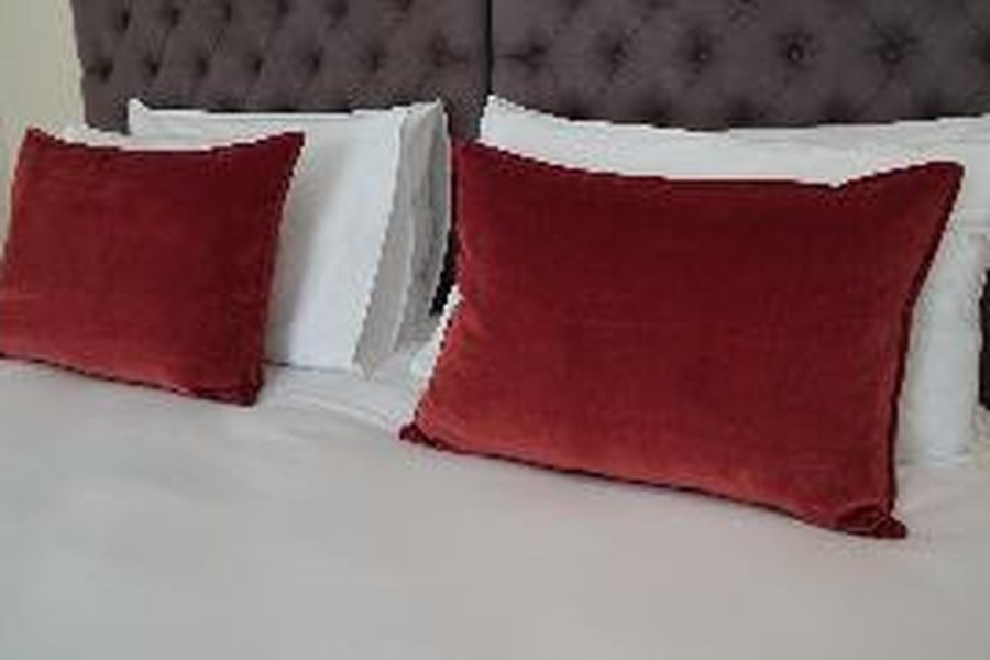 photo-1