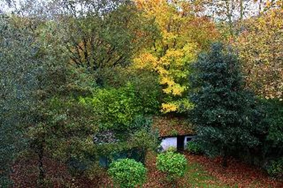 photo-2