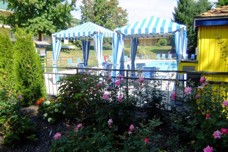 photo-0