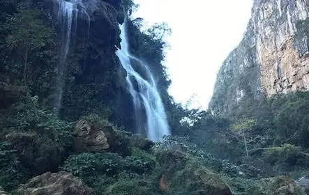 Cachoeira Aguacero e visita guiada à Reserva da Biosfera Ocote saindo de Tuxtla Gutiérrez