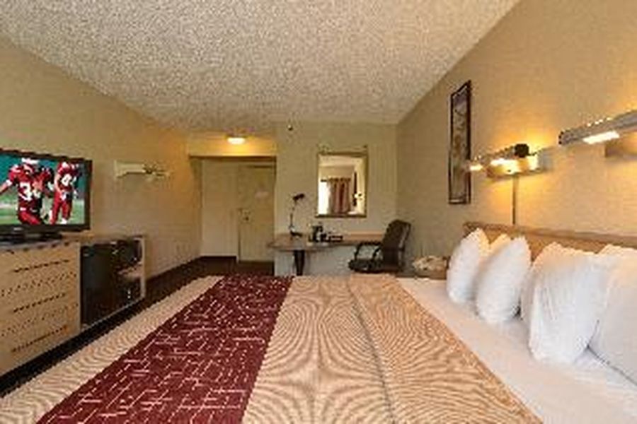 photo-1