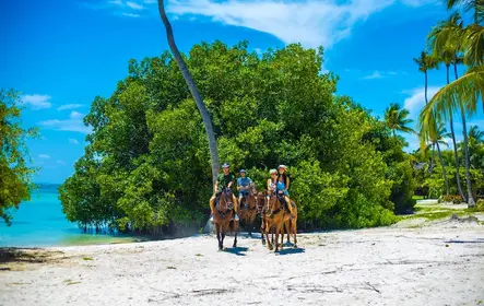 Tour a caballo por Punta Cana