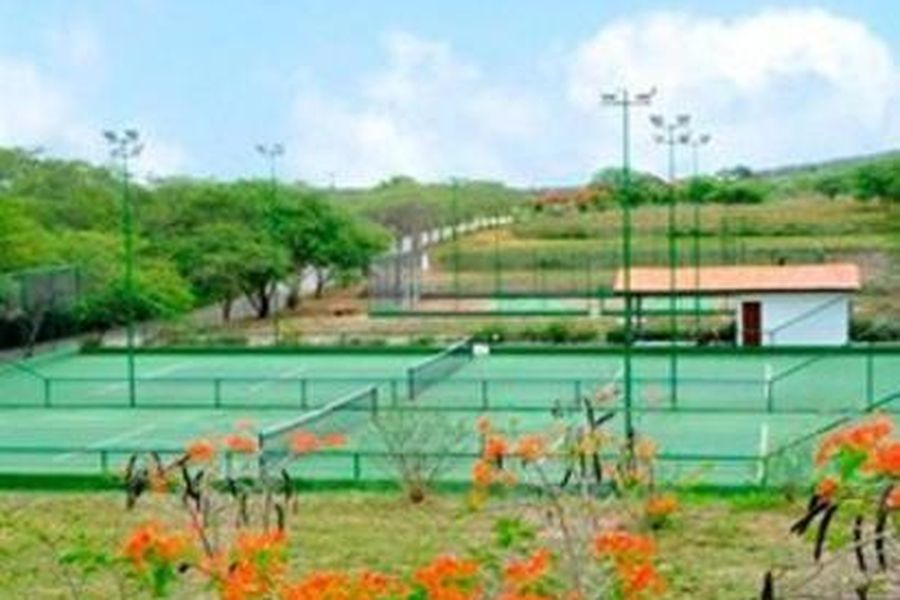photo-3