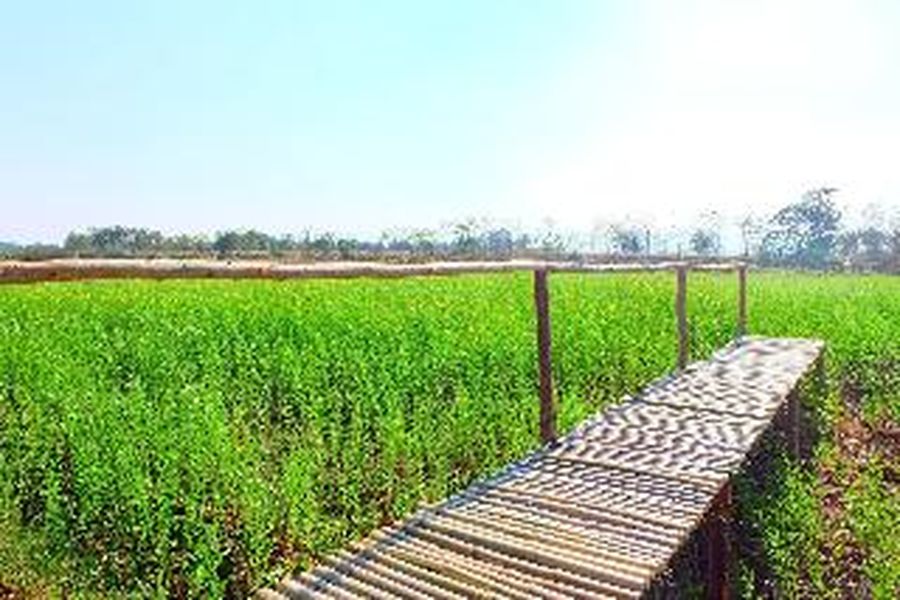photo-1