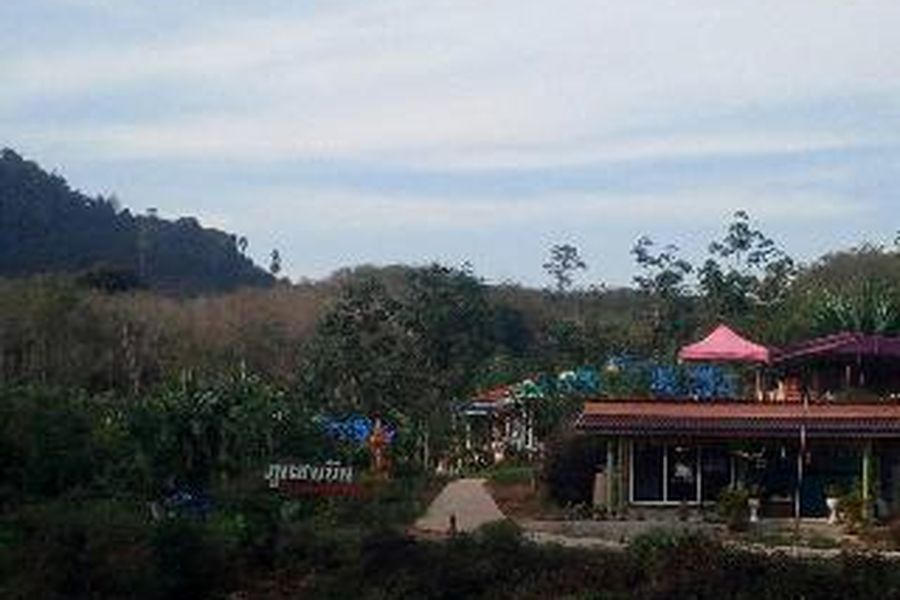photo-0