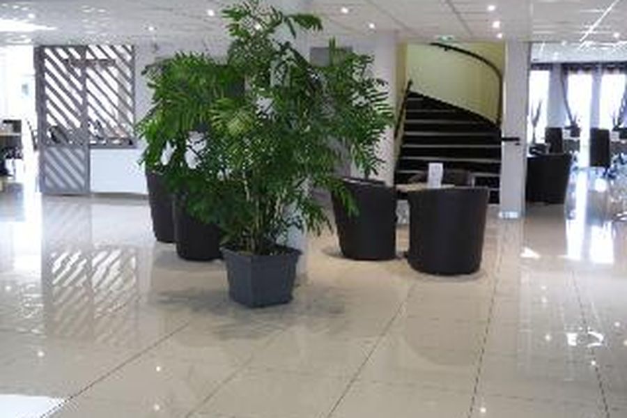 foto-2