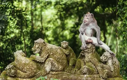 Excursão privada ao melhor de Ubud