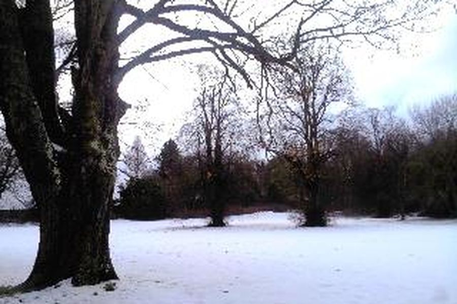 photo-2