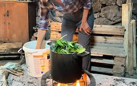 Refeição em família local de Trogir e experiência cultural
