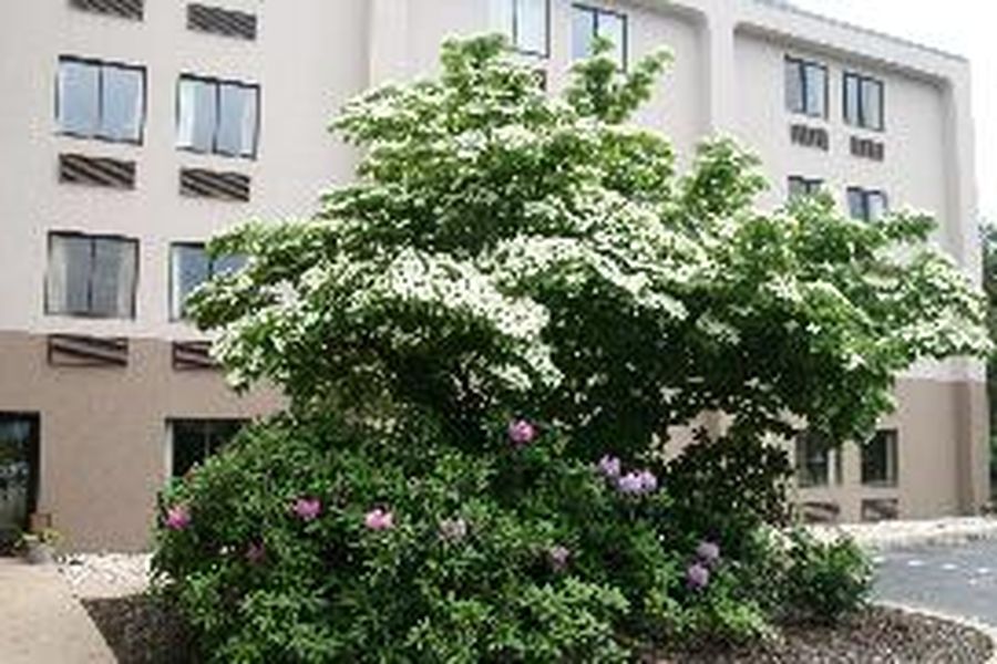 foto-1