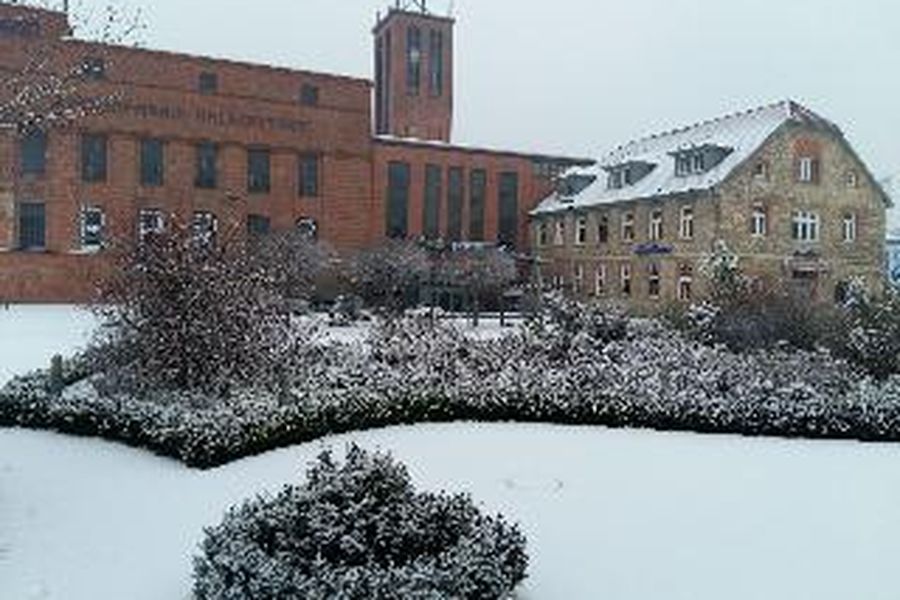 foto-1