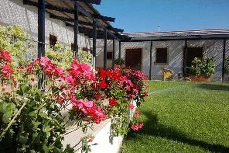 photo-3