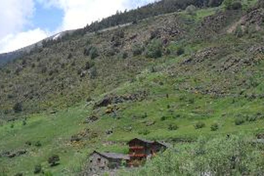 photo-3