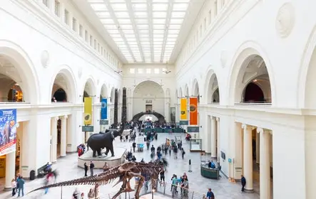Chicago Explorer Pass: 2 a 7 atrações, incluindo 360 Chicago
