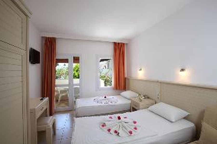 photo-1