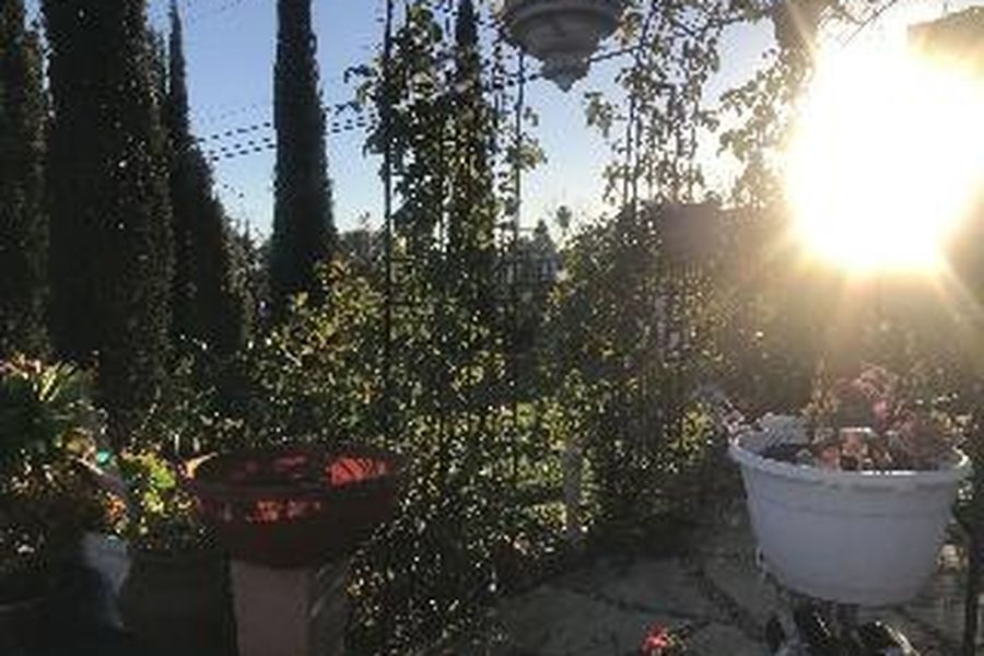 foto-0