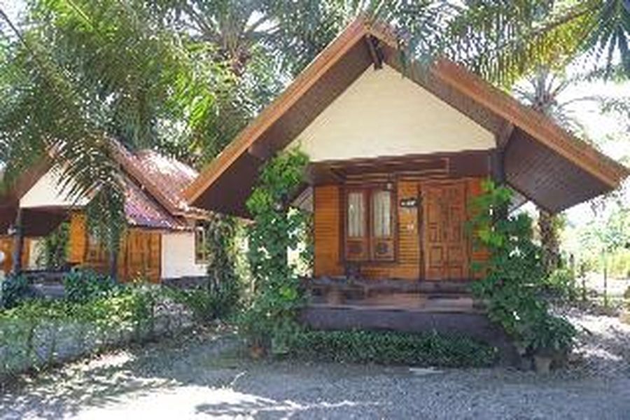 foto-2