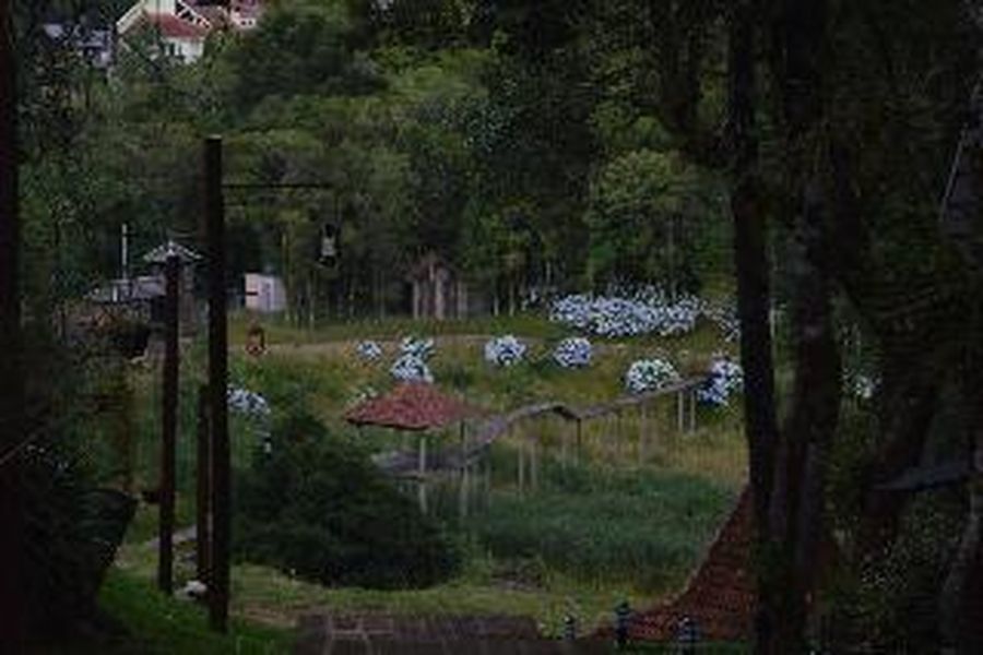 foto-3