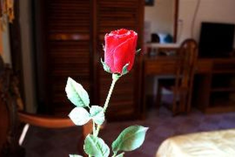 photo-1