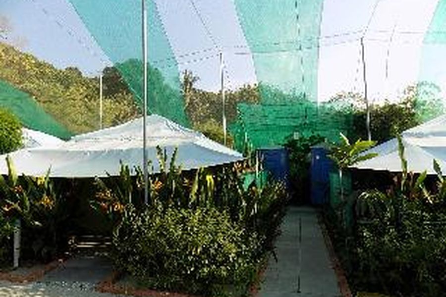 foto-0