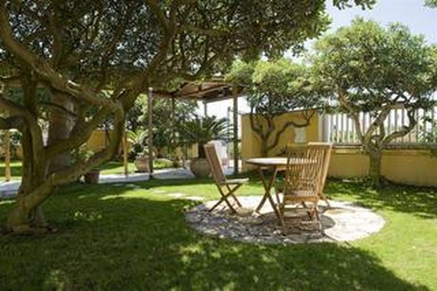 foto-1