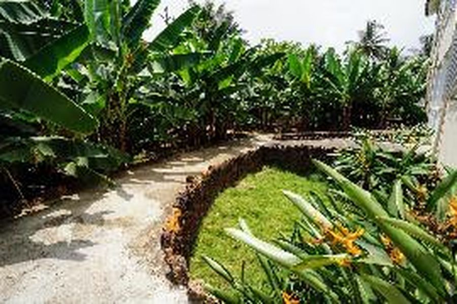 foto-1