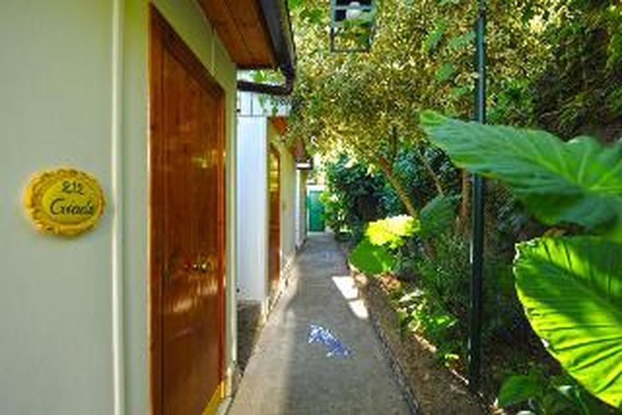 foto-3