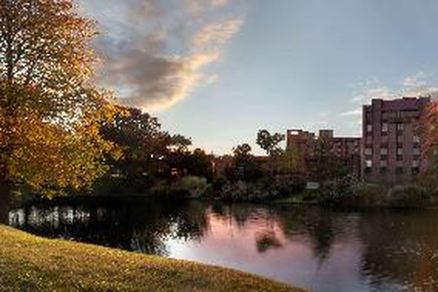 photo-2