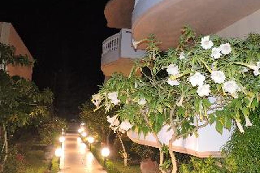 photo-1