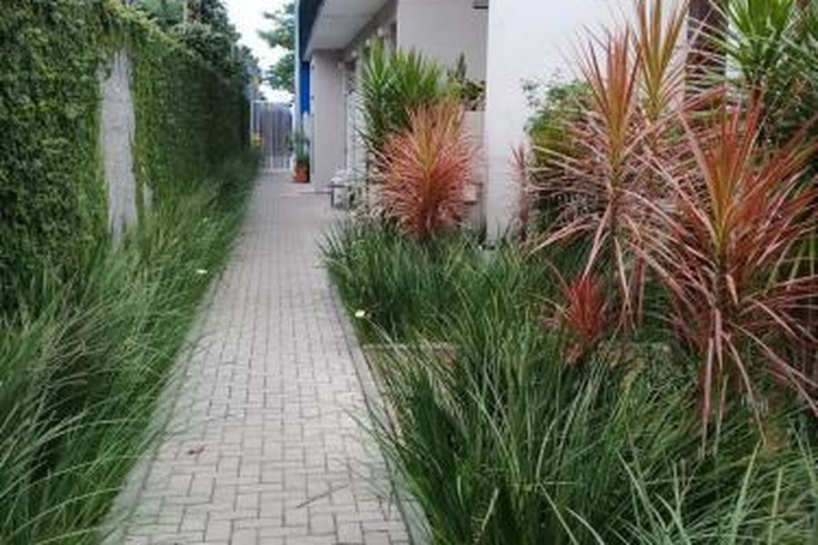 foto-3