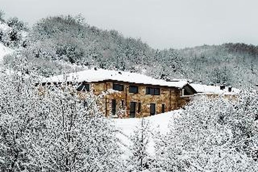 photo-3