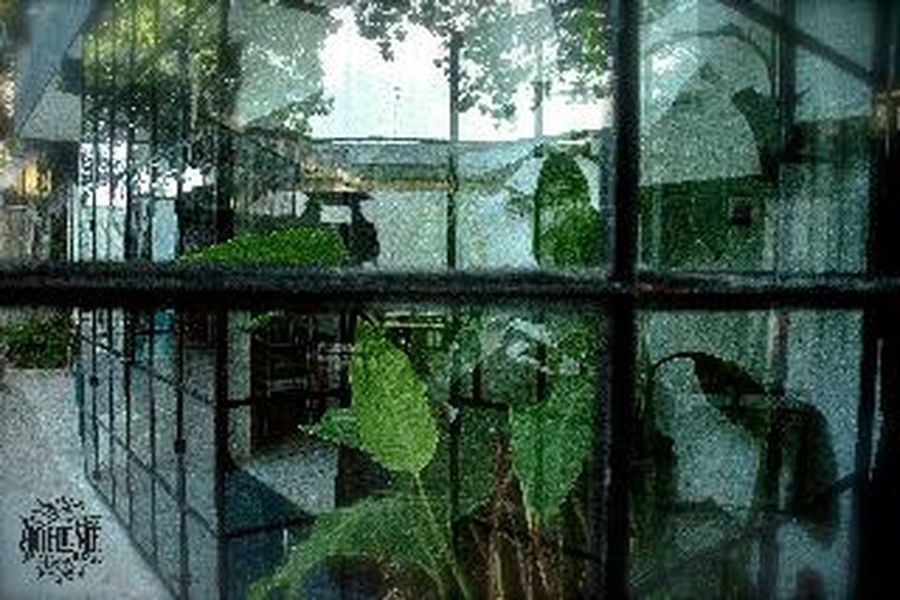 foto-1