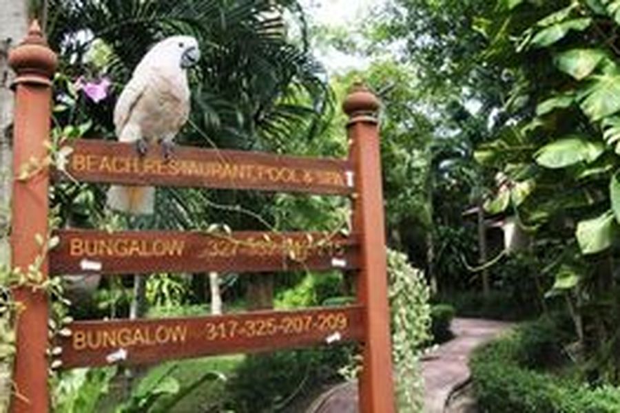 foto-2