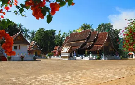 Excursão de meio dia em Luang Prabang com aula de culinária