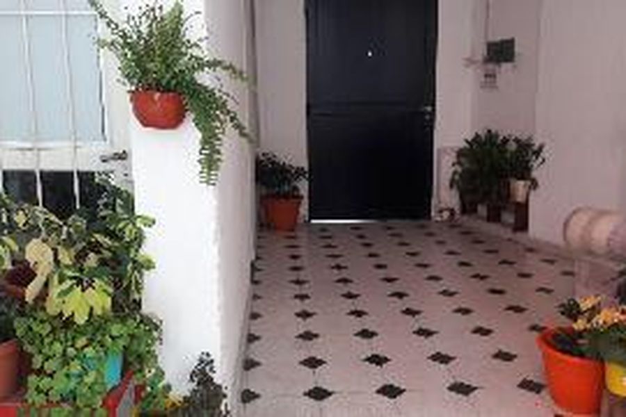 photo-2