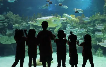 Ingresso para o Oceanário Aquaria KLCC em Kuala Lumpur