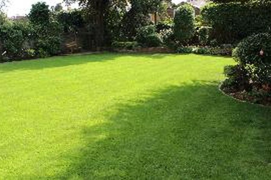 photo-2