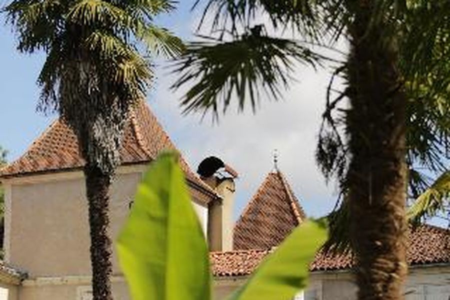foto-1